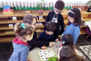 dia a dia em uma escola Montessori