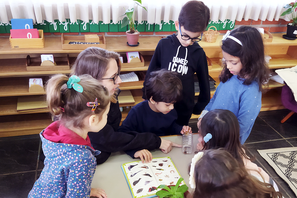 Read more about the article O dia a dia em uma escola Montessori com turmas agrupadas 
